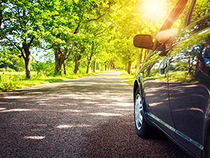 Car driving down road through trees